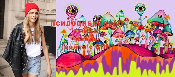 первитин Арсеньев